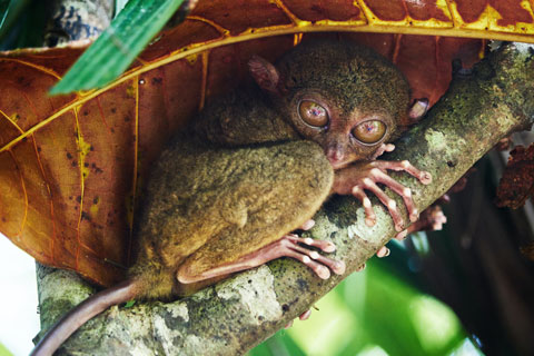 Tales Of Adventure And Discovery From Around The Globe