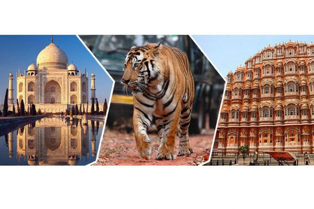 Golden Triangle With Tigers Tour 